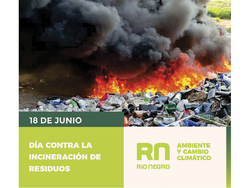 Da Mundial contra la Incineracin de Residuos